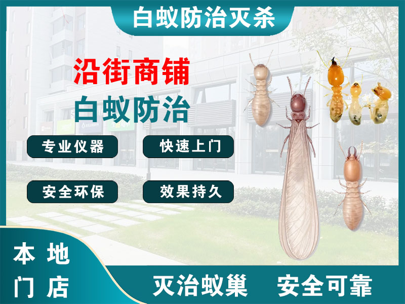 浦东沿街商铺白蚁防治