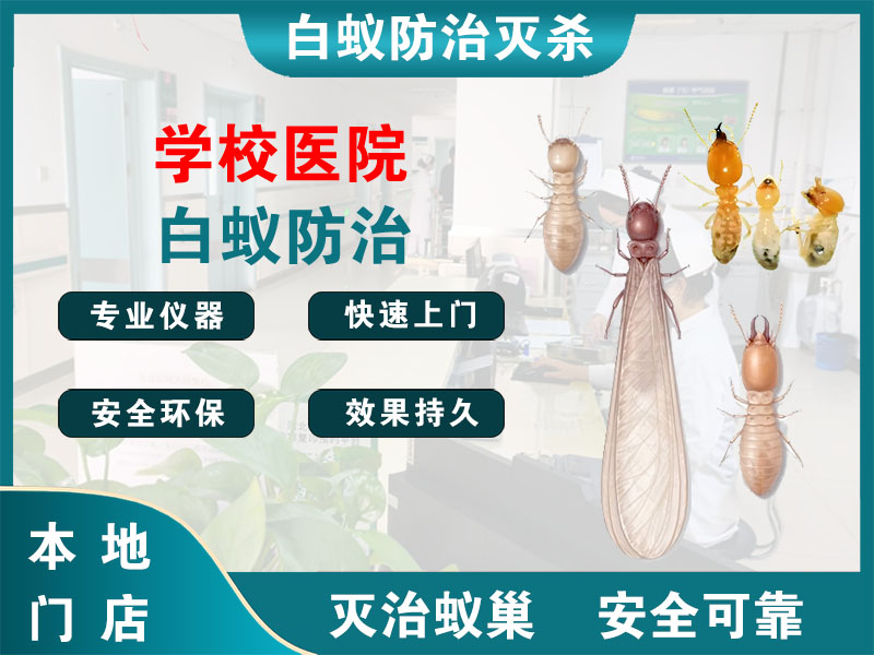 浦东学校医院白蚁防治