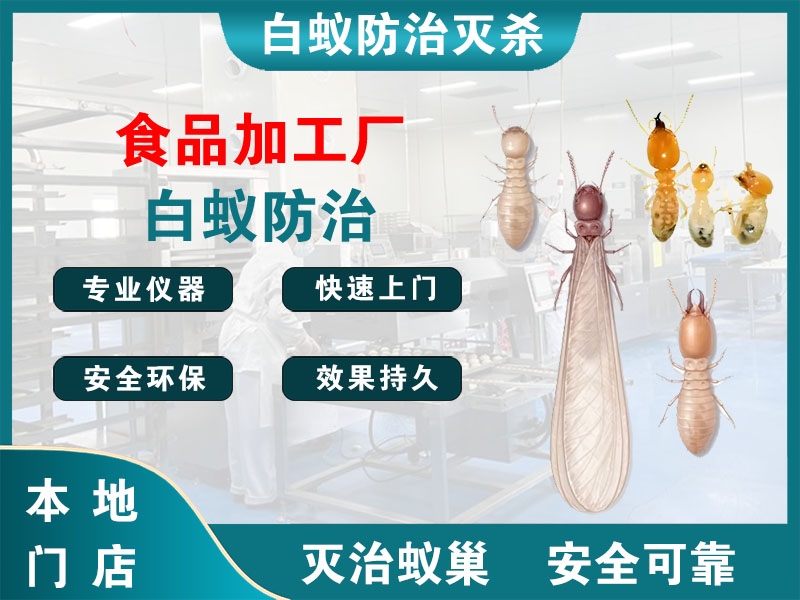 浦东食品加工厂白蚁防治