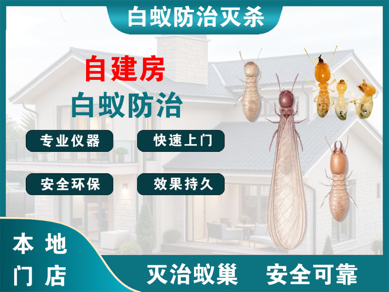 浦东自建房白蚁防治