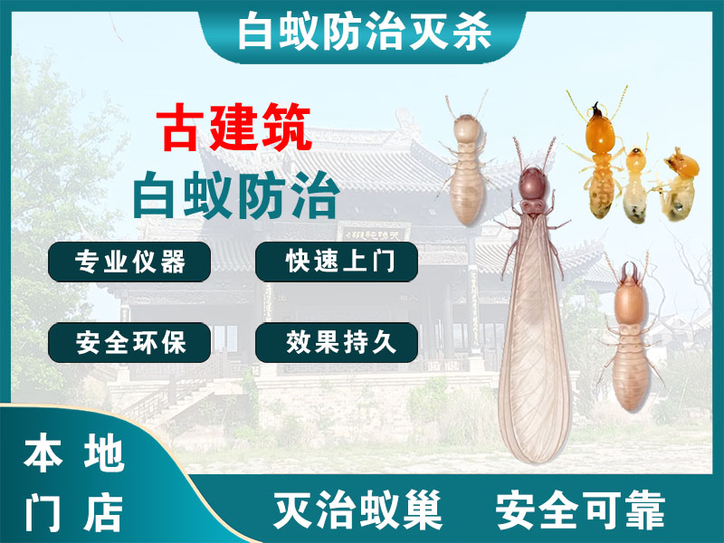浦东古建筑白蚁防治