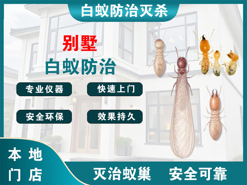 浦东别墅白蚁防治